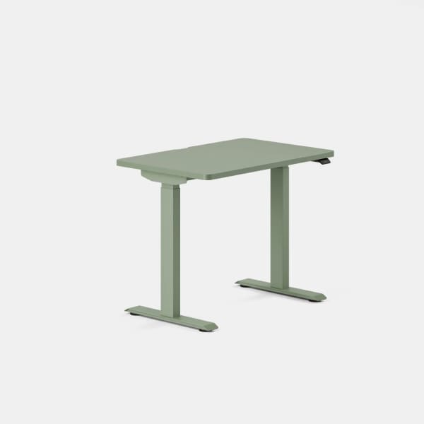 Double Standing Desk